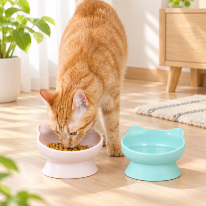 Kawaii Raised Cat Bowl Set